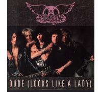 Aerosmith - DUDE (LOOKS LIKE A LADY)