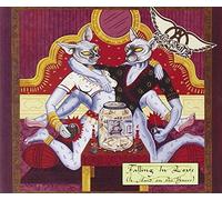 Aerosmith - Falling in Love (Is Hard on Th