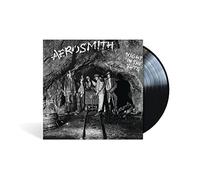 Aerosmith Night in the Ruts (Vinyl) 12" Album