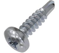 AERZETIX - Juego de 100 - Tornillo para chapa Autoperforante - Cabeza cilíndrica abombada - Ø4.8x19mm - DIN 7504 N - Acero galvanizado - Huella Cruciforme - Bricolaje - Renovación - C44729