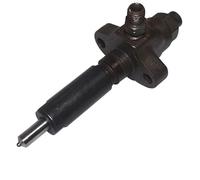 AEspares Boquilla de inyector de combustible compatible con tractor Massey Ferguson