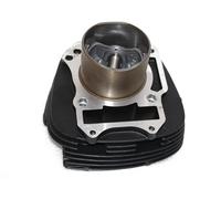 AEspares Cilindro cilíndrico con conjunto de pistón D1 compatible con Royal Enfield Himalayan 411cc 888472