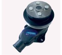 AEspares Conjunto de bomba de agua compatible con motor refrigerado por agua Kirloskar TV2 S4009930 / L99DE00866 / S4099237