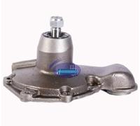 AEspares Conjunto de bomba de agua sin placa base y polea compatible con motor Leyland 690 Hippo Bewer A7070400/ A7074600/ B7074604