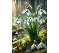Aesthetic Floral Notebook for Daily Writing: Softcover Journal for Nature Lovers - Perfect for Journaling and Reflections