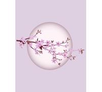 Aesthetic Lilac Colour Notebook for Kids, Teens, Girls, Women- 8.5x11 inch, 200 Wide Ruled Pages, Matte Finish Cover: Cute light Purple Floral Journal ... Aesthetic Lilac Journal for Girls & Women