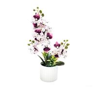 Aetluxery Planta de orquídea artificial realista en maceta, decoración de flores de mariposa falsa Phalaenopsis para sala de estar, baño, flor falsa de plástico duradero de 33 x 8 x 7 cm (blanco y