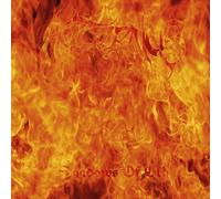 Aeturnus Shadows of Old (Vinyl) 12" Album (Importación USA)