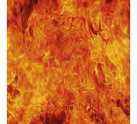 Aeturnus Shadows of old (Vinyl) (Importación USA)