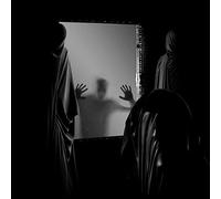 Aeviterne - The ailing facade [Vinilo]