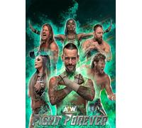 AEW: Fight Forever PC