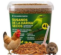 AF® - Gusanos de la Harina Deshidratados 600gr | 4L Tenebrios Molitor Natural para Reptiles, Erizos y Gusanos para pajaros | Snack Alto en Proteína para Terrarios, Comida para Vencejos 100% Natural