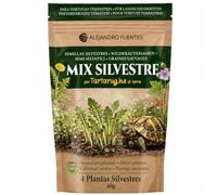 AF® - Semillas para Tortugas de Tierra | Comida Tortugas de Tierra Mezcla 4 Plantas Silvestres - Diente de León Malva Achicoria Llantén | Sembrar o Germinar | Hermann Graeca 40g