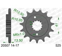 AFAM 20507-15 Piñón para cadena