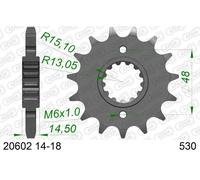 AFAM 20602-17 Piñón para cadena
