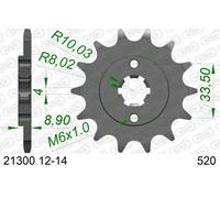 AFAM 21300-13 Piñón para cadena