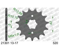 AFAM 21301-16 Piñón para cadena