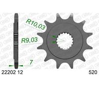 AFAM 22202-12 Piñón para cadena