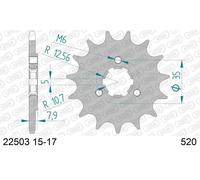 AFAM 22503-16 Piñón para cadena