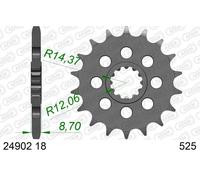 AFAM 24902-18 Piñón para cadena