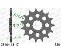 AFAM 28404-16 Piñón para cadena