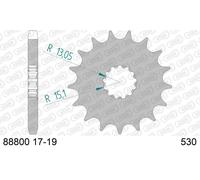 AFAM 88800-19 Piñón para cadena