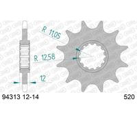 AFAM 94313-13 Piñón para cadena