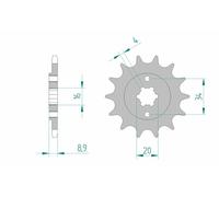 AFAM Piñón de acero estándar 21300 - 520