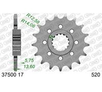 AFAM Piñón de acero estándar 37500-520, tamaño 10 mm