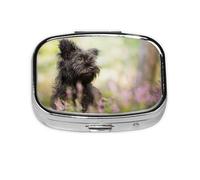 Affenpinscher Césped Perros Negros Monkey Terrier, Pastillero cuadrado para bolsillo o monedero, pequeño contenedor de pastillas, organizador de pastillas de viaje