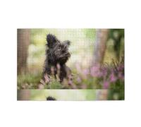 Affenpinscher Césped Perros Negros Monkey Terrier, Rompecabezas de 1000 Piezas, Rompecabezas de Madera para Toda la Familia, decoración de Pared para Adultos y Adolescentes.