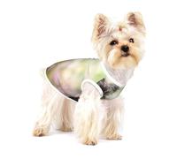 Affenpinscher, Perro Negro de césped, Terrier Mono,Camiseta de algodón sin Mangas para Mascotas, Chaleco Transpirable, Suave y elástico para Cachorros,M