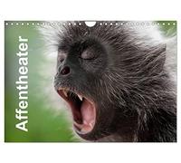 Affentheater (Wandkalender 2026 DIN A4 quer), CALVENDO Monatskalender: Tierisch
