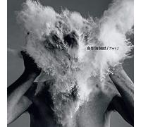 Afghan Whigs,the - Do to the Beast [Vinilo]