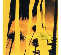 Afghan Whigs - Turn on the water (4 tracks, 1992)