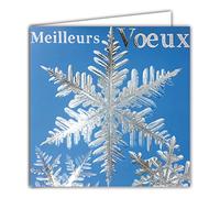 Afie 23039 - Tarjeta cuadrada de buen año con mejores gustos para el pelo, diseño de copo con color plateado brillante