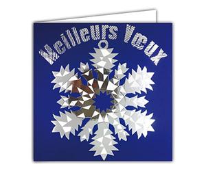 Afie 23050 - Tarjeta cuadrada de buen año con mejores gustos para el pelo, diseño de copo de plata brillante con sobre blanco