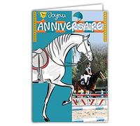 Afie 67-1227 - Tarjeta de felicitación de cumpleaños, diseño de caballos y animales Cavalier, equitación, salto obstáculos, campeón, con sobre blanco, 12 x 17,5 cm