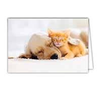 Afie 68-4002 Tarjeta interior blanca con sobres - Gato Gatito Roux Perro Cachorro Abrazo Dormir Colores Dulces Espíritu Cocooning Relajarse en casa Farniente Siesta Tranquila Descansa Para ti
