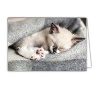 Afie 68-4003 Tarjeta interior blanca con sobres - Gato Gatito Abrazo Dormir Gris Colores Dulces Espíritu Cocooning Relajarse en casa Farniente Siesta Tranquila Descansa Piensa en ti Para ti