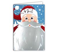 AFIE - Tarjeta de felicitación navideña, diseño de Papá Noel, barba, bigote plateado brillante, con sobres blancos, formato 12 x 17,5 cm, con cabeza retrato, copos de nieve, invierno, mejores deseos