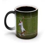 AFLJNYNN Roger Federer - Taza de cerámica artística que sorprende a diario