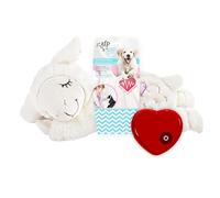 All For Paws Juguete interactivo para cachorros Little Buddy AFP4220 Oveja de peluche con corazón