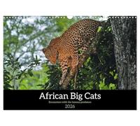 African Big Cats (Wall Calendar 2026 DIN A3 landscape), CALVENDO 12 Month Wall Calendar: Lions, leopards and cheetahs in Southern Africa