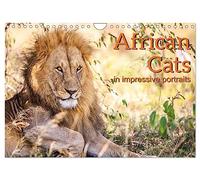 African Cats in impressive portraits (Wall Calendar 2026 DIN A4 landscape), CALVENDO 12 Month Wall Calendar: Impressive high-resolution portraits of Africa's fascinating big cats