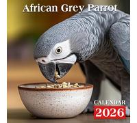 African Grey Parrot Calendar 2026: Stunning Images of Intelligent African Grey Parrots