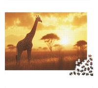 African Jirafa Standing on The Golden Savannah,Rompecabezas para Adultos 1000pcs (75x50cm),Juegos De Desafío De Solset