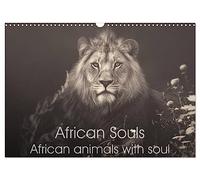 African Souls African animals with soul (Wall Calendar 2026 DIN A3 landscape), CALVENDO 12 Month Wall Calendar: Enchanting animal souls of african nature