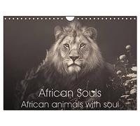 African Souls African animals with soul (Wall Calendar 2026 DIN A4 landscape), CALVENDO 12 Month Wall Calendar: Enchanting animal souls of african nature