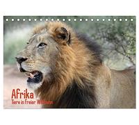 Afrika. Tiere in freier Wildbahn (Tischkalender 2026 DIN A5 quer), CALVENDO Monatskalender: Eine Fotosafari zu den wildlebenden Tieren in Afrika